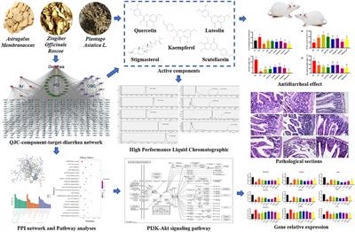 Study on the Effective Material Basis and Mechanism of Traditional Chinese Medicine Prescription (QJC) Against Stress Diarrhea in Mice